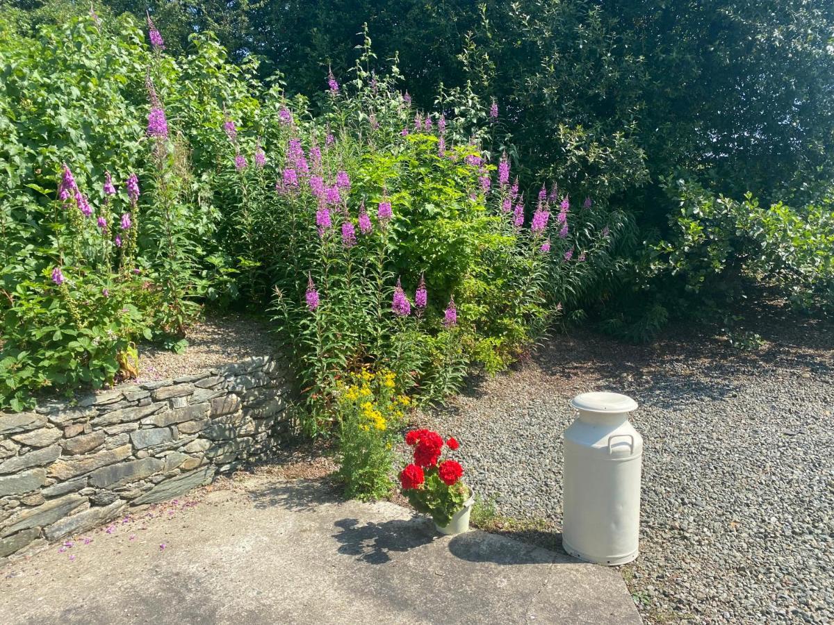 Hawthorn Cottage Greencastle  Εξωτερικό φωτογραφία